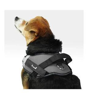 <strong>Peitoral Cross Harness Mimo</strong>&nbsp;